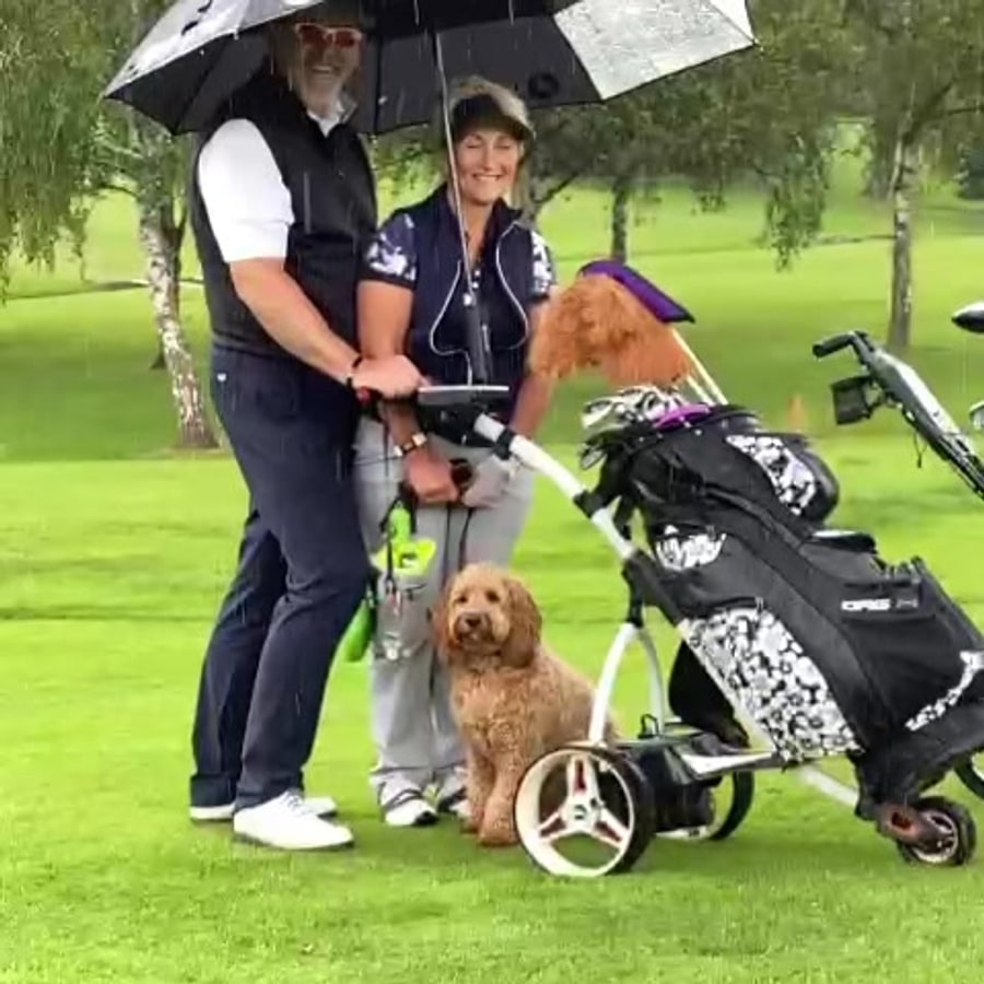 Reggie, Brickendon Grange Golf Club dog, on the course beside golfers and a golf trolley.